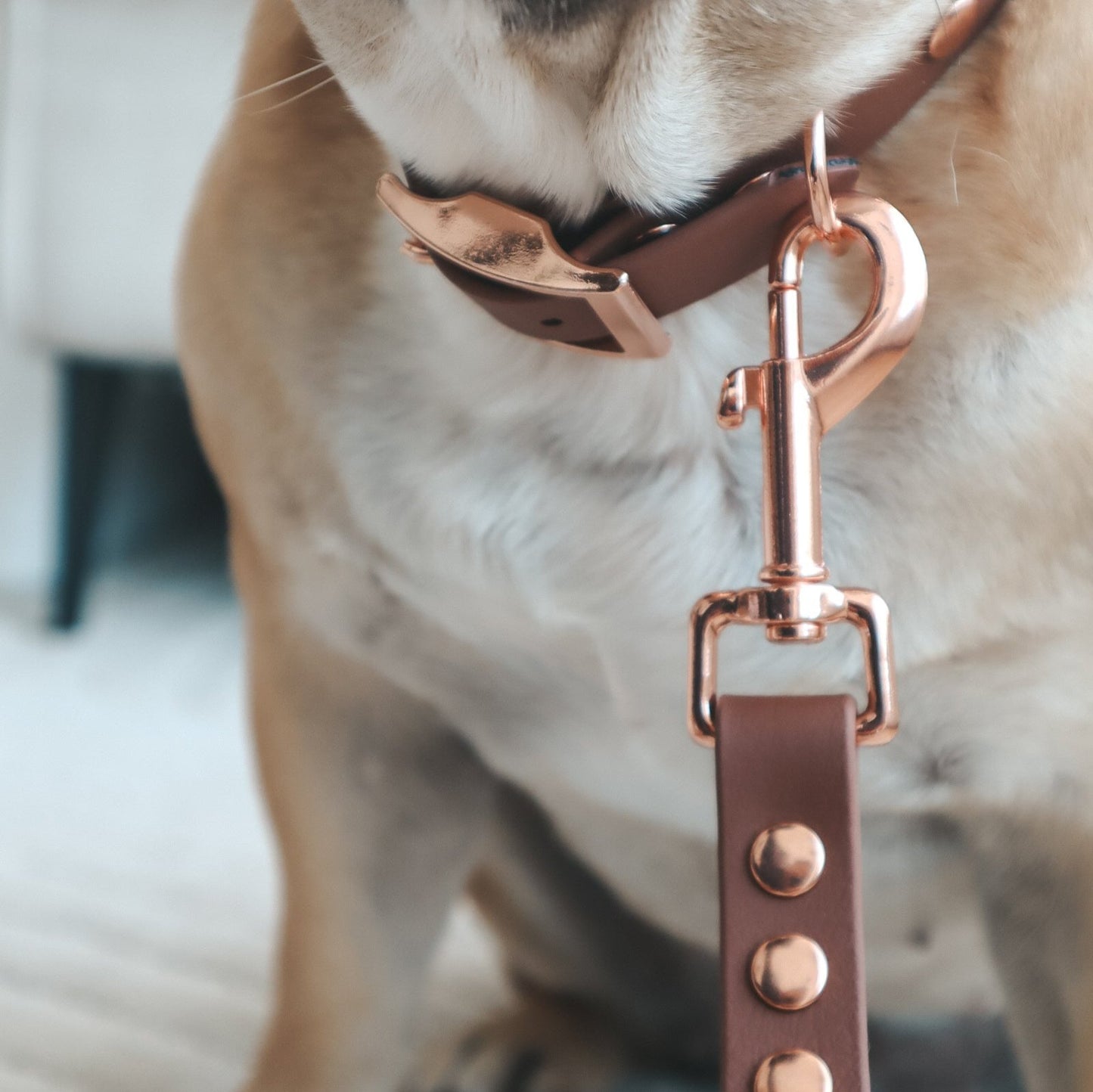 Waterproof Leash ─ Chestnut