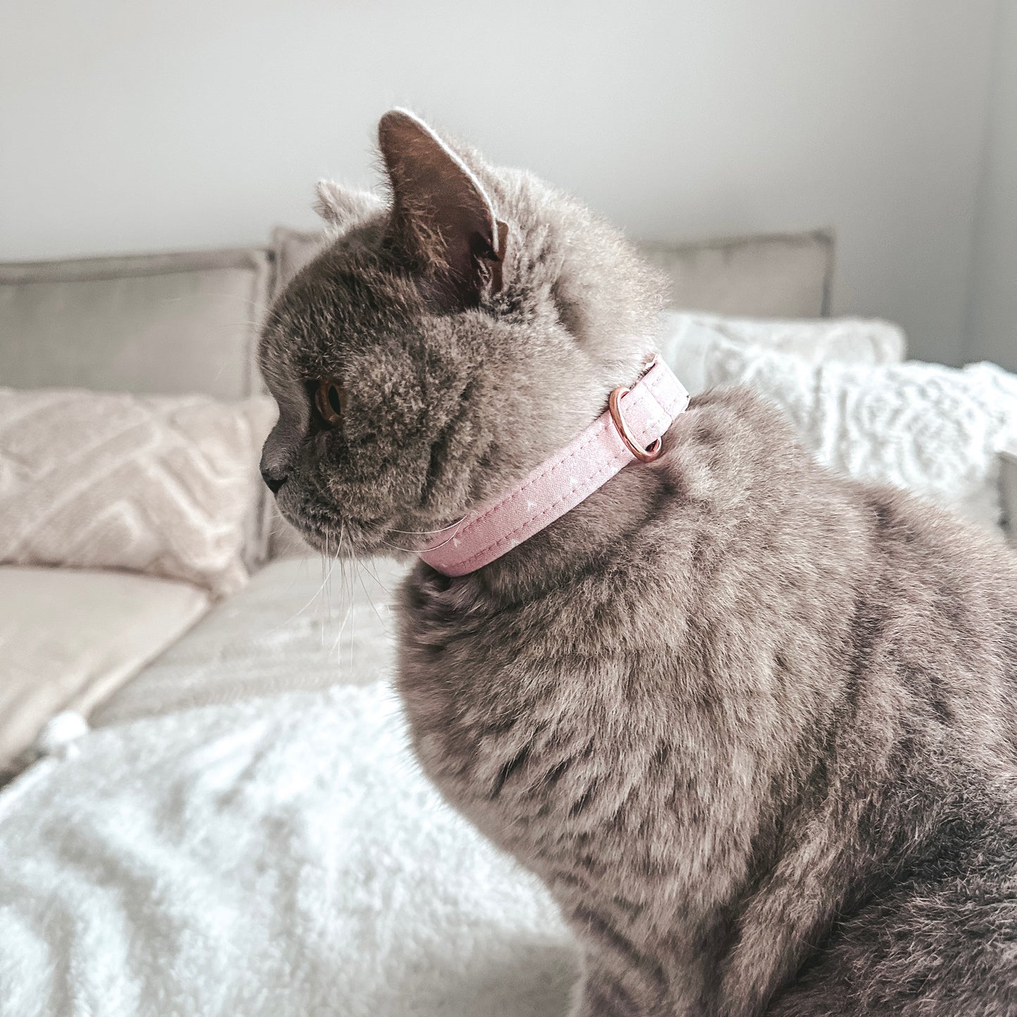 A cat wearing a Handmade Aesthetic Pink heart pattern Pet Collar with rose gold buckle