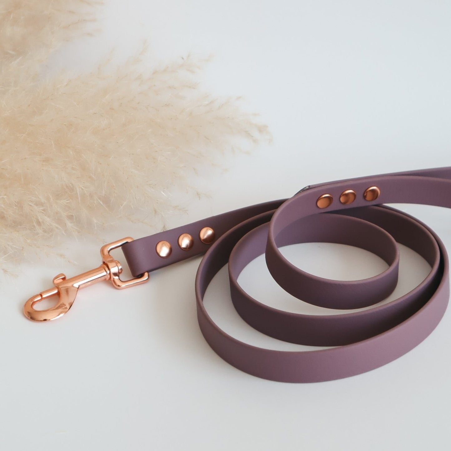 Walking Set ─ Plum