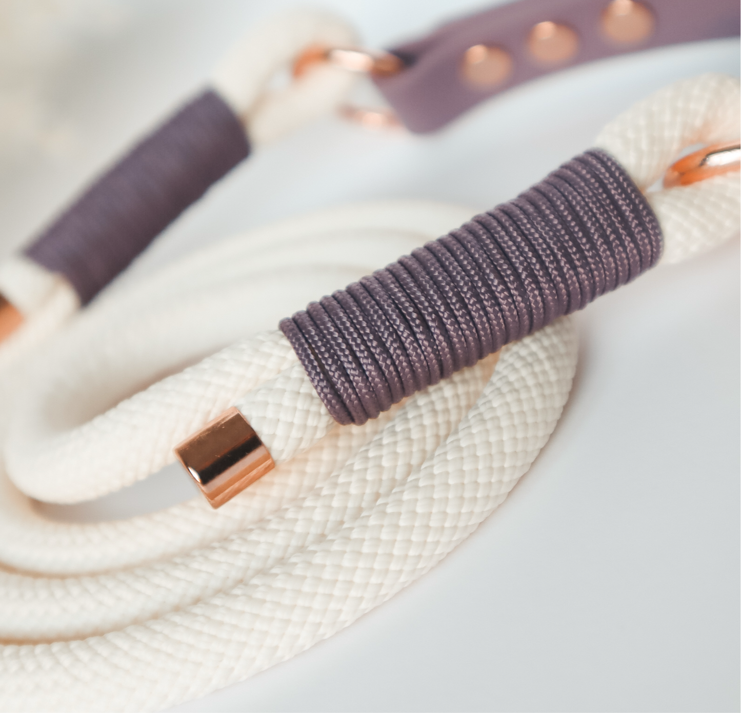 Paracord Leash ─ Plum Elegance