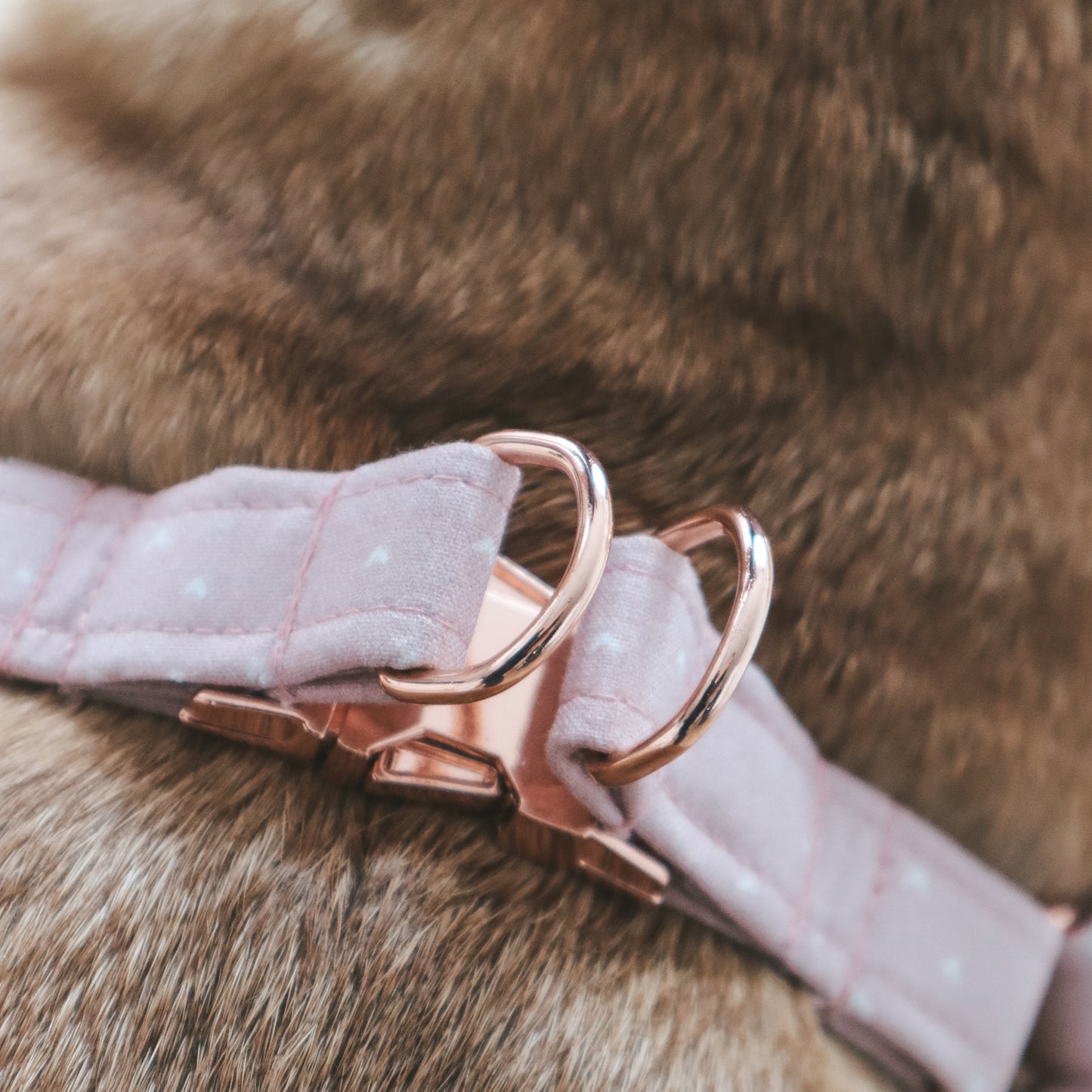 Step-In Harness ─ Sweetheart Blush