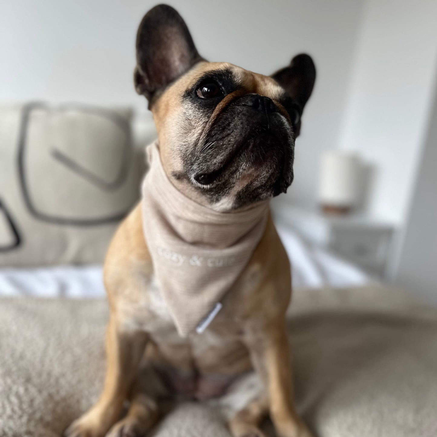 Custom Bandana ─ Rib Taupe