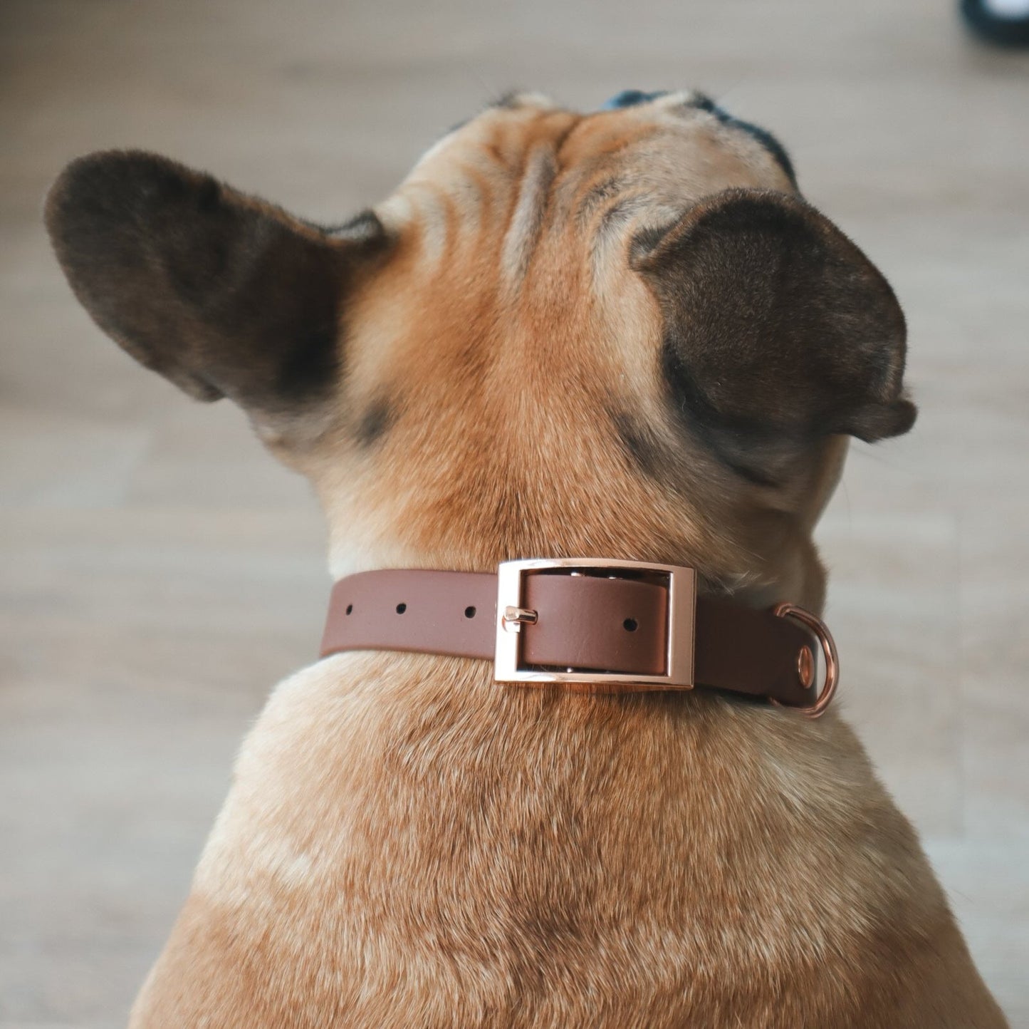 Waterproof Collar ─ Chestnut