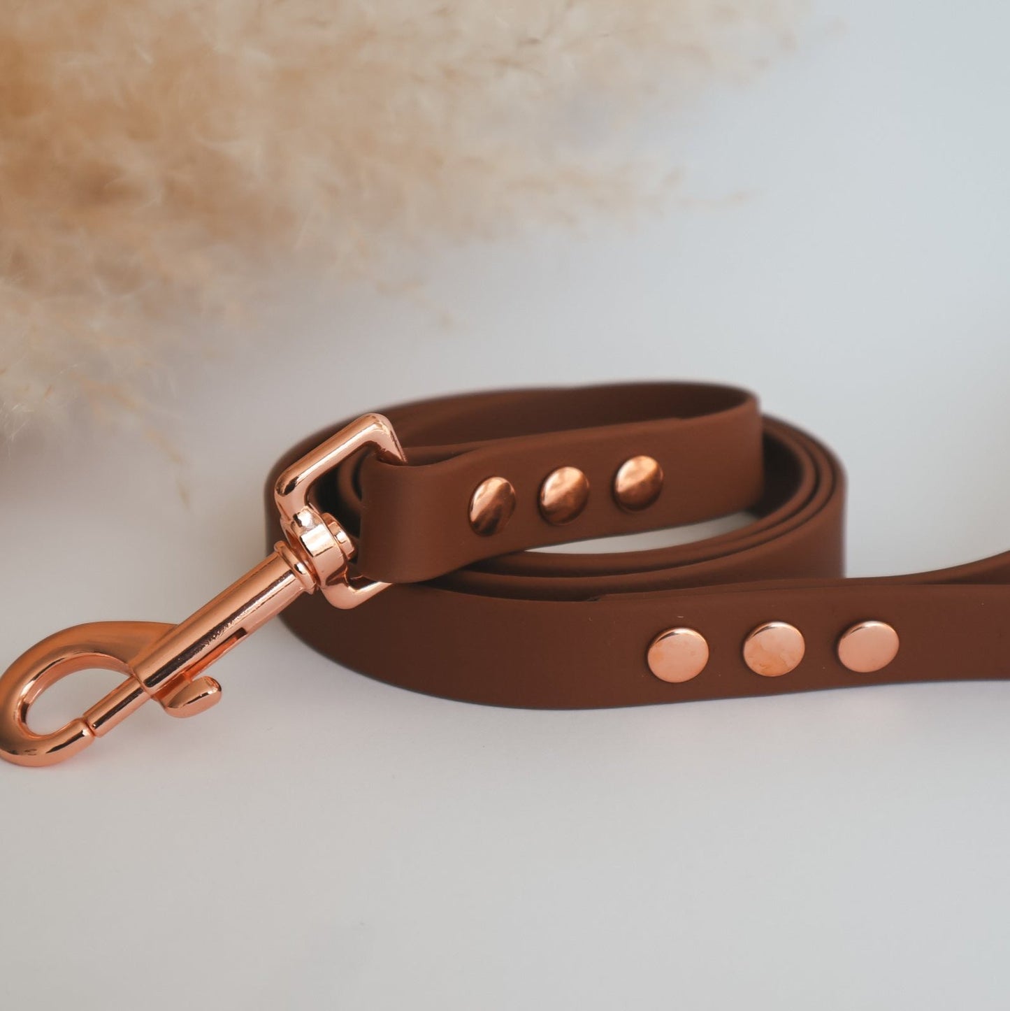 Waterproof Leash ─ Chestnut