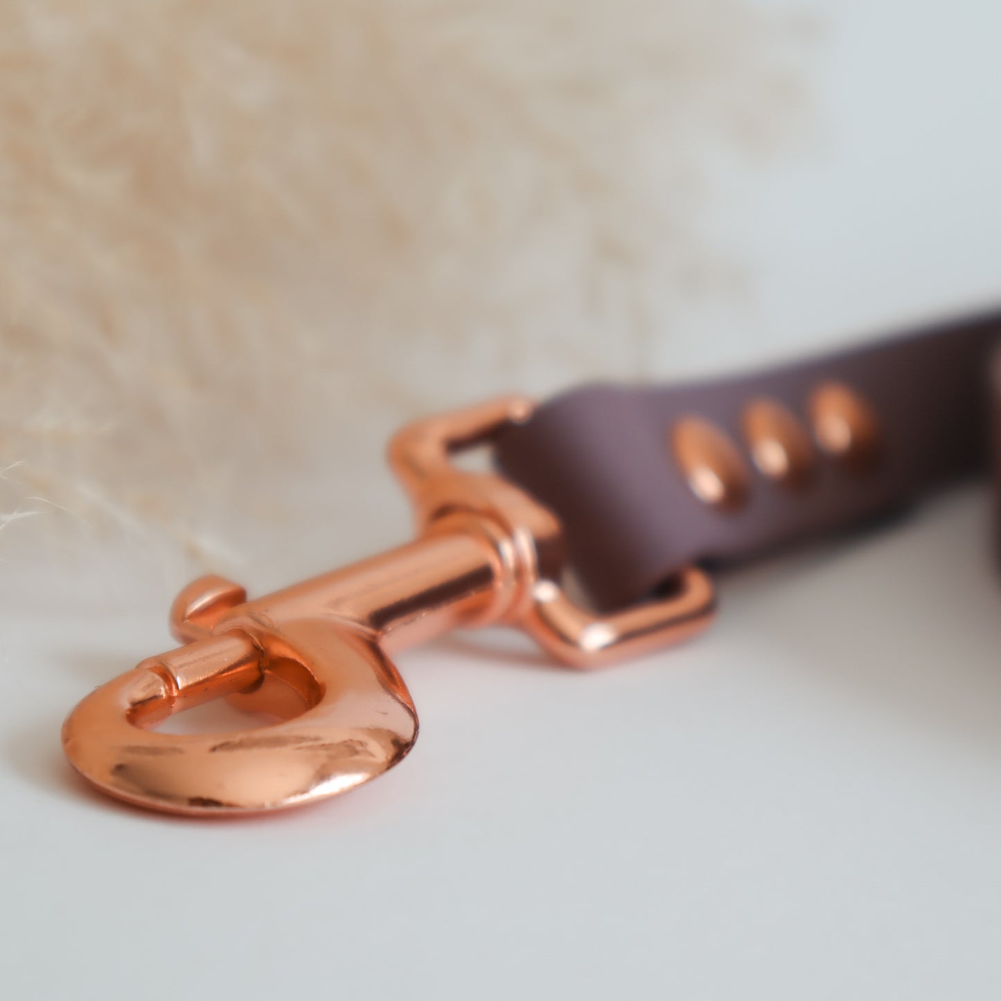 Waterproof Leash ─ Plum