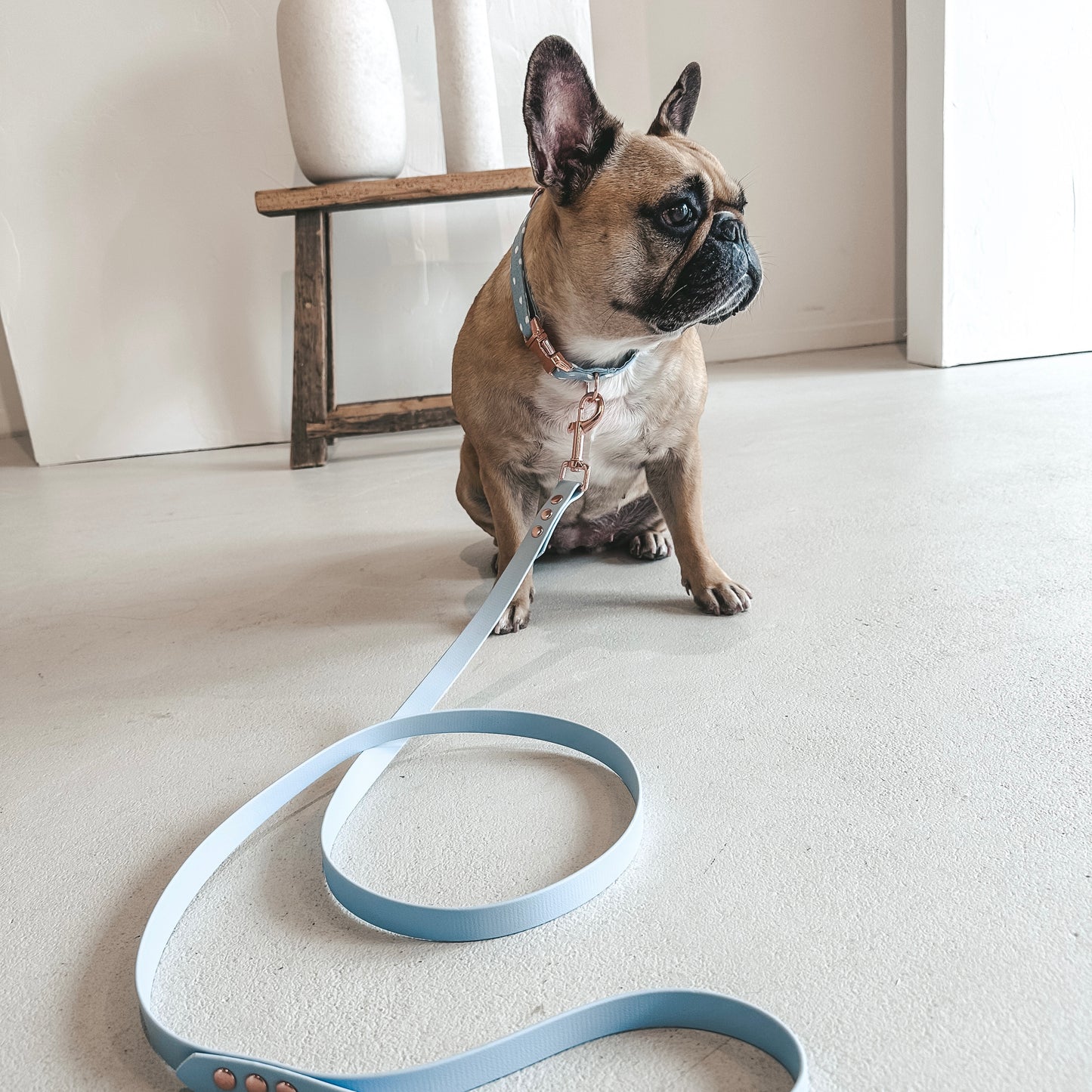 French bulldog wearing a Handmade Waterproof Pet leash. Personalizable with pet's name