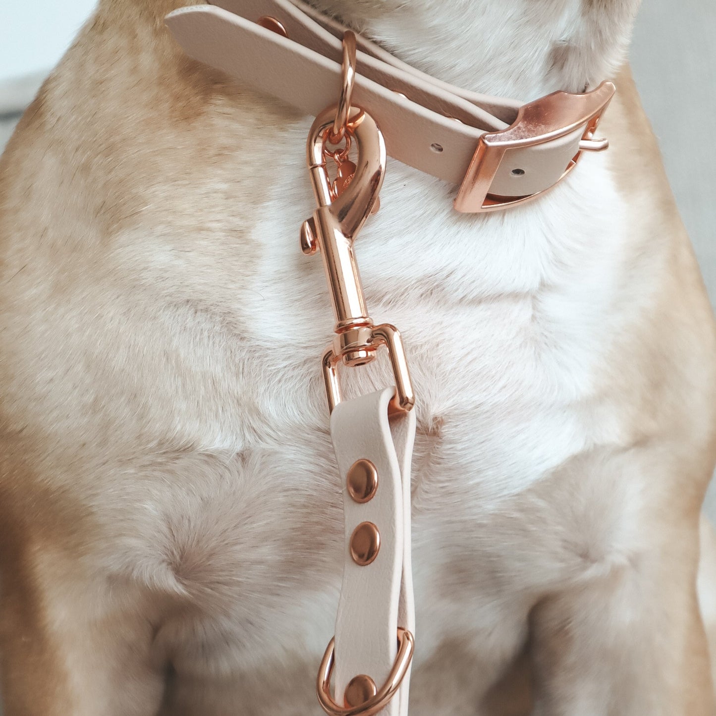 Waterproof Leash ─ Nude