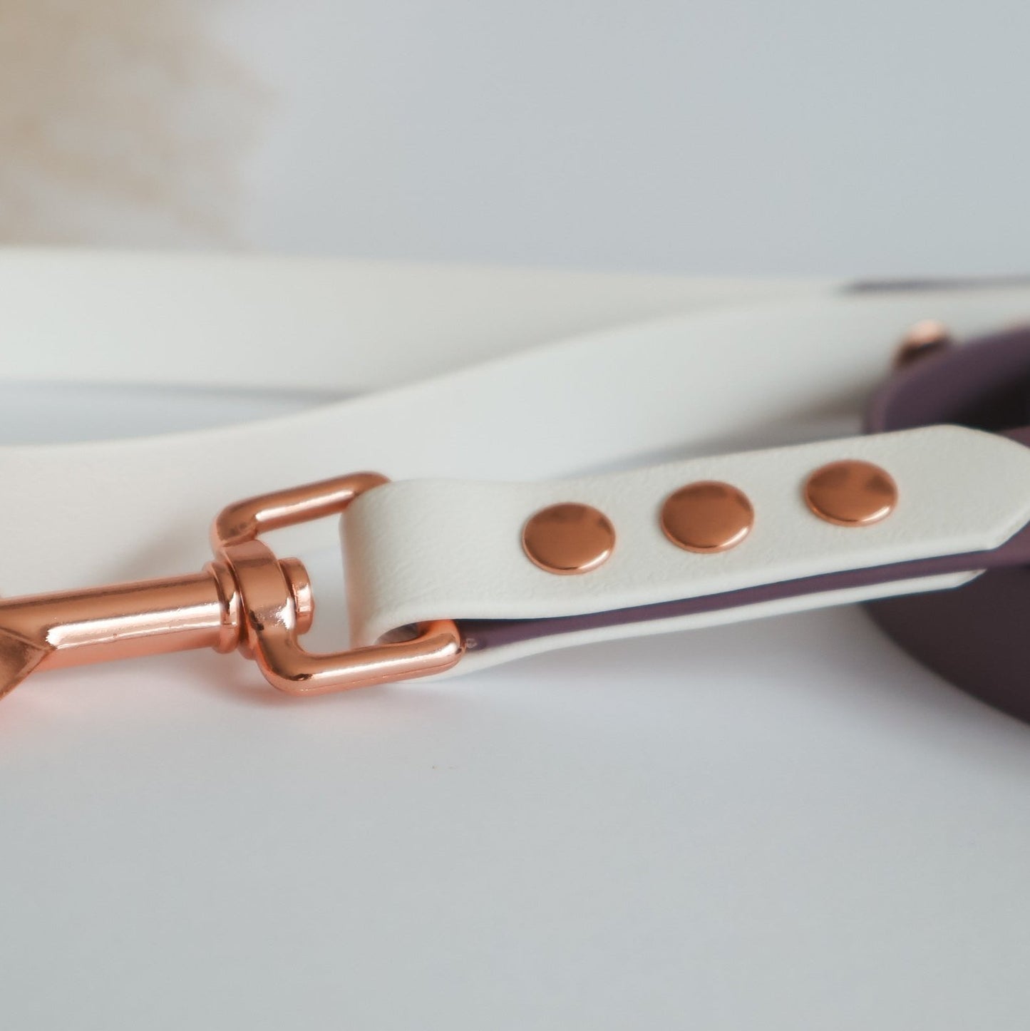 Waterproof Leash ─ Plum Smoothie