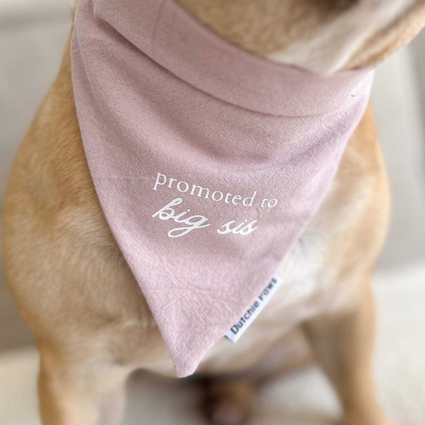 Custom Cherished Moments ─ Scrunchie Bandana