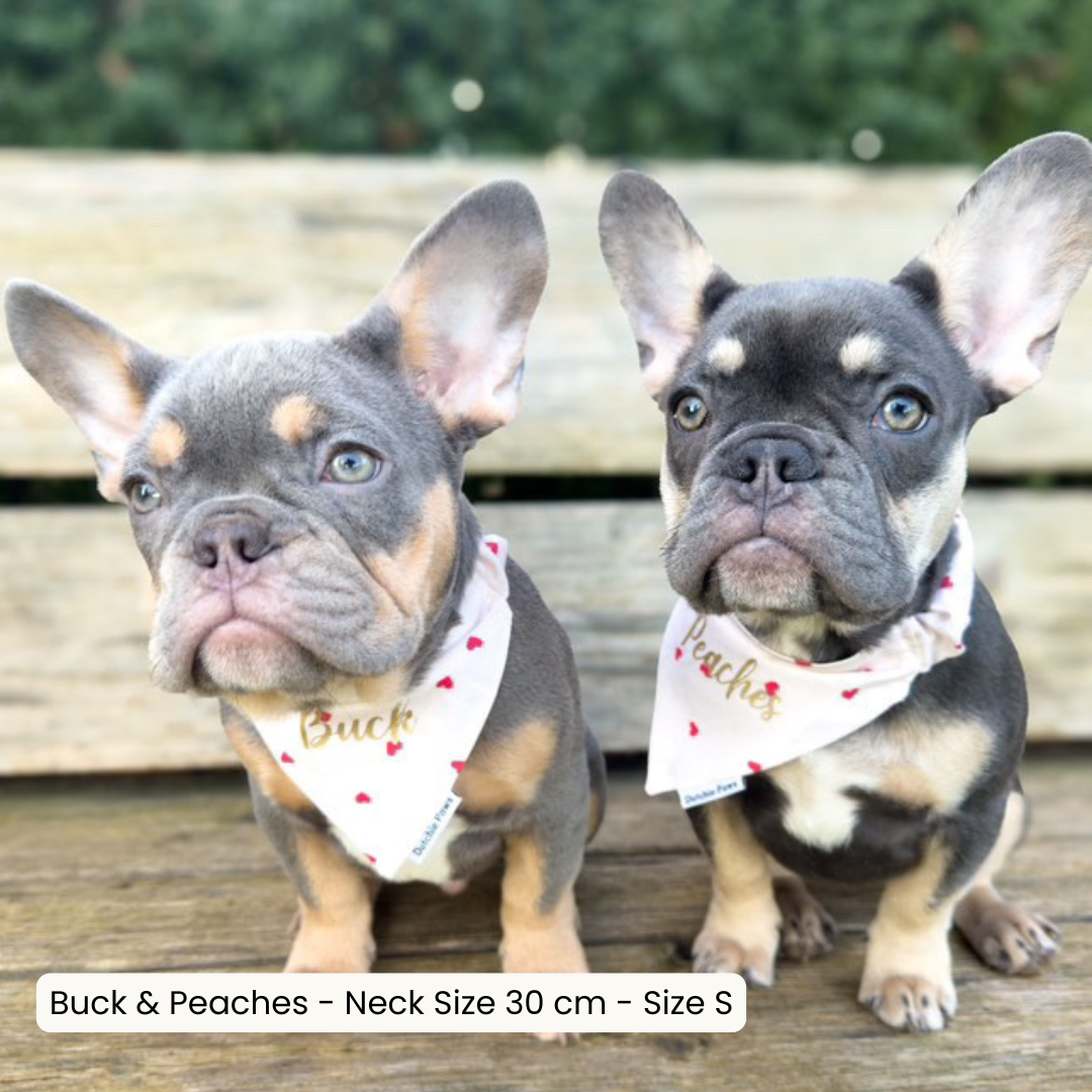 Be My Valentine ─ Scrunchie Bandana