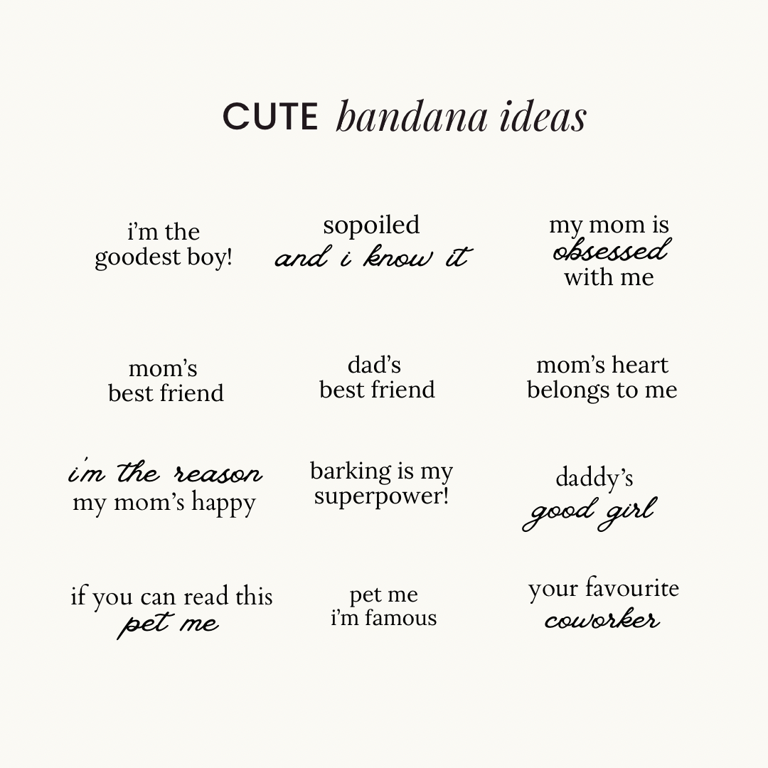 Custom Name ─ Scrunchie Bandana