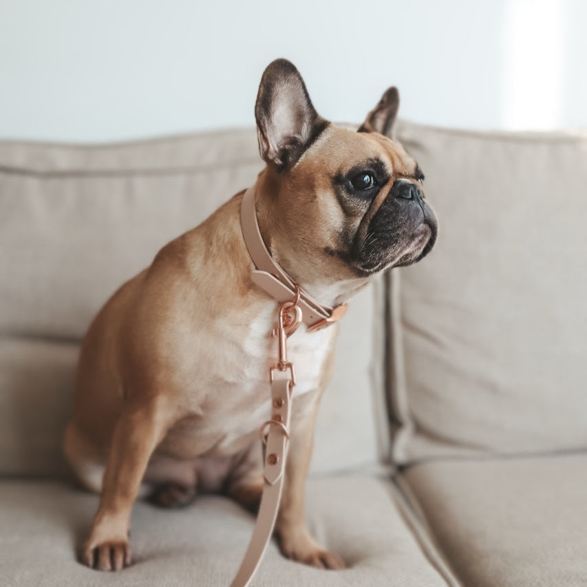 Walking Set ─ Nude