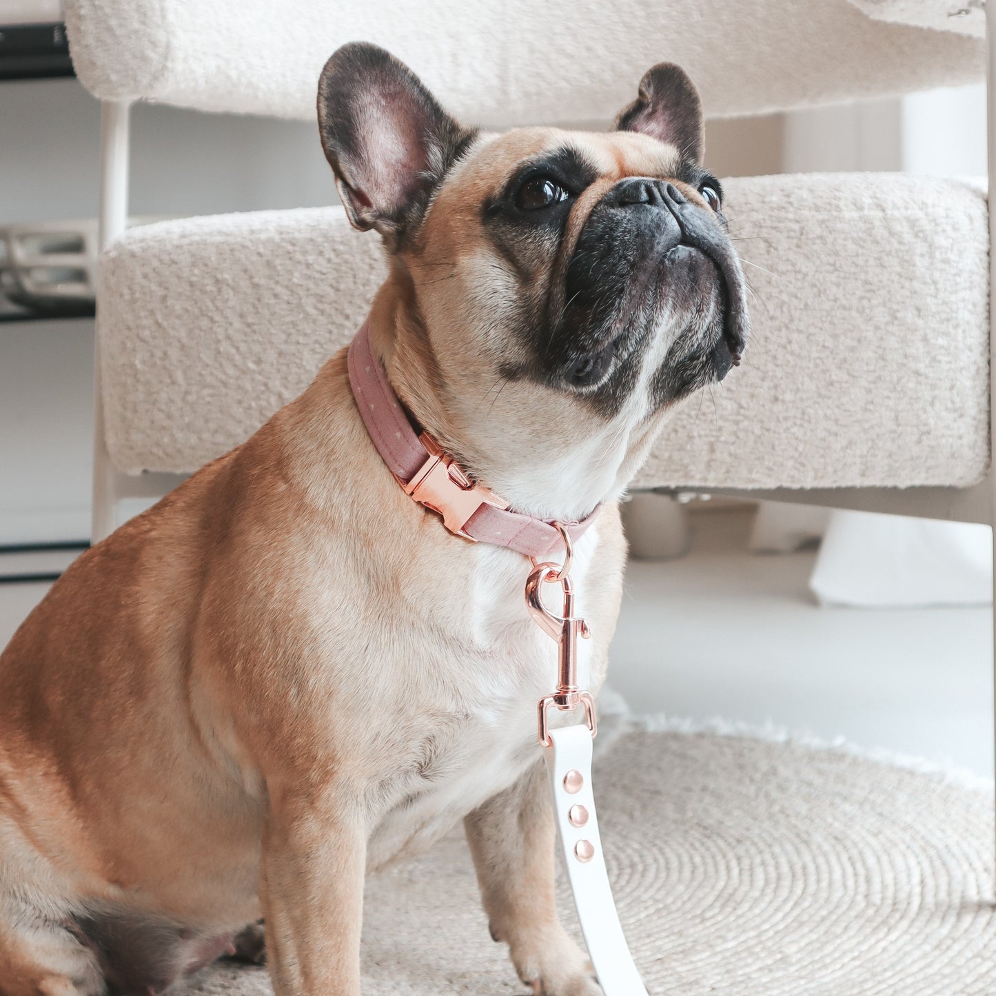 French bulldog wearing a Handmade Aesthetic Pink heart pattern Dog Collar with rose gold buckle