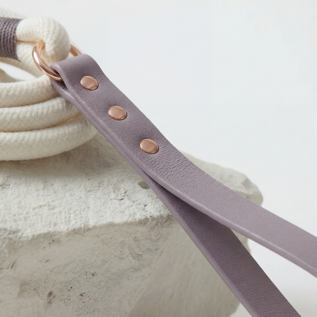 Paracord Leash ─ Plum Elegance