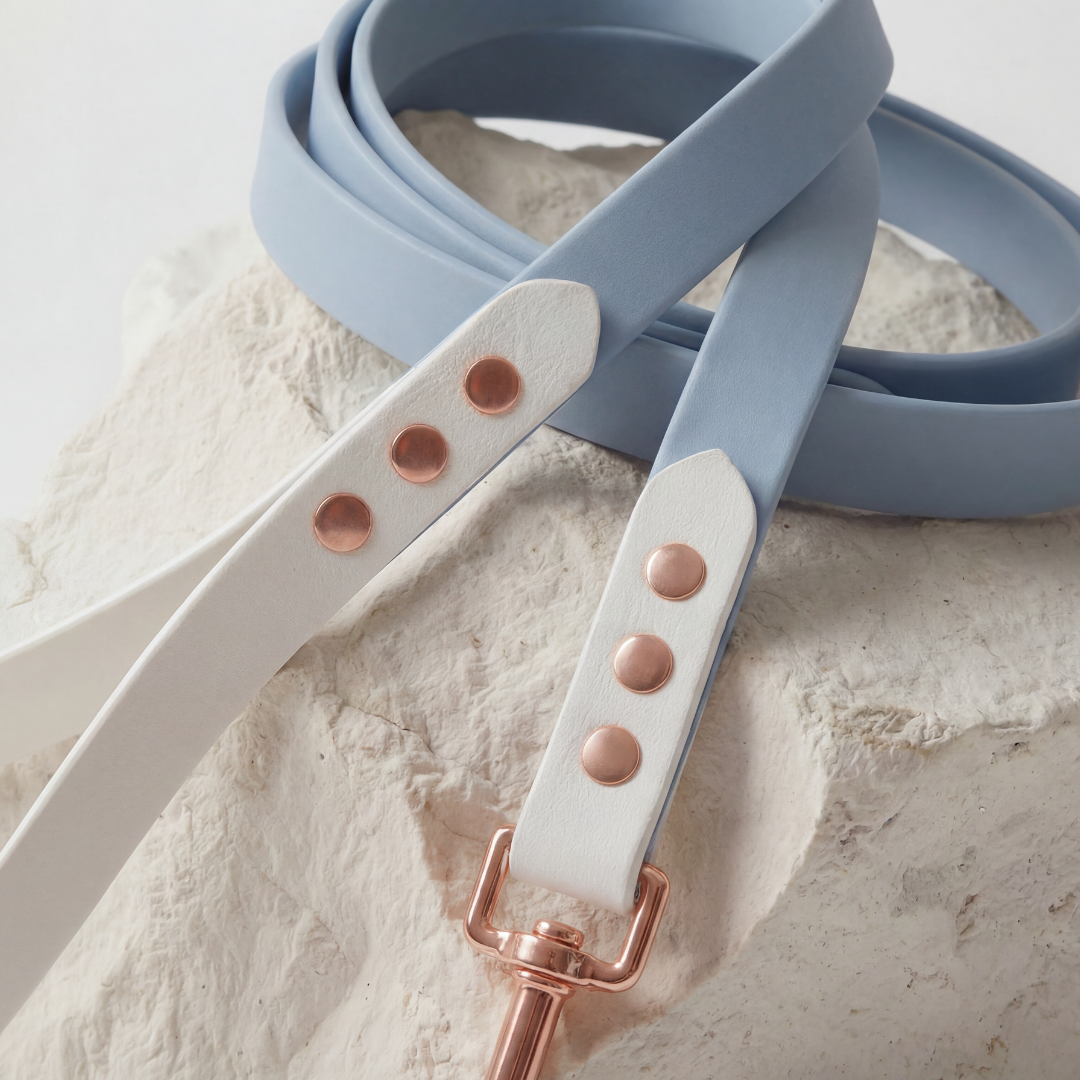 Waterproof Leash ─ Coral Coast