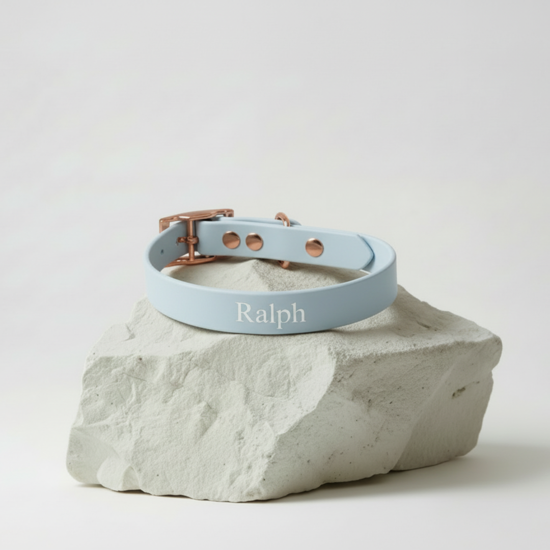 Waterproof Collar ─ Bluebell