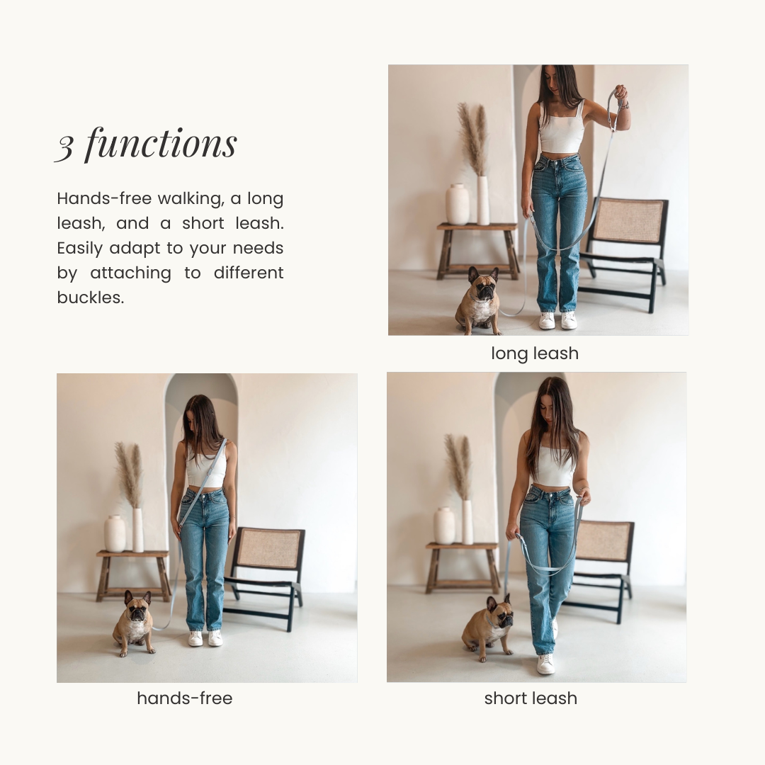 Waterproof Leash ─ Crème