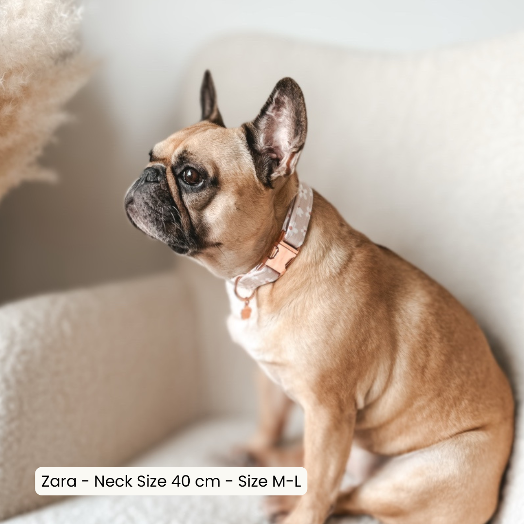 Regular Collar ─ Floral Eden