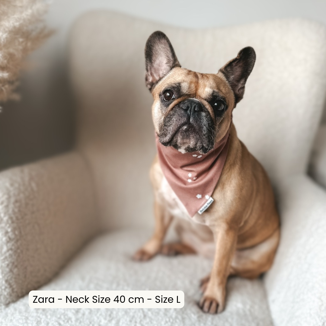 Choco Daisy ─ Scrunchie Bandana