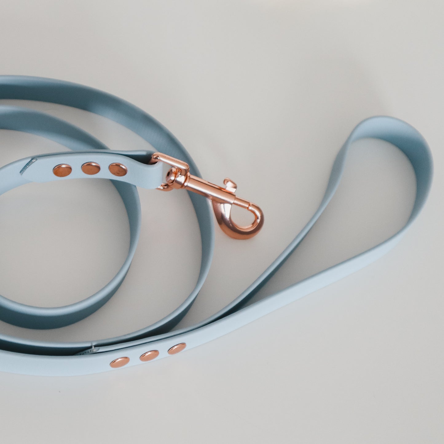 Handmade Waterproof Blue Pet Accessories set - Collar and leash. Personalizable with pet's name