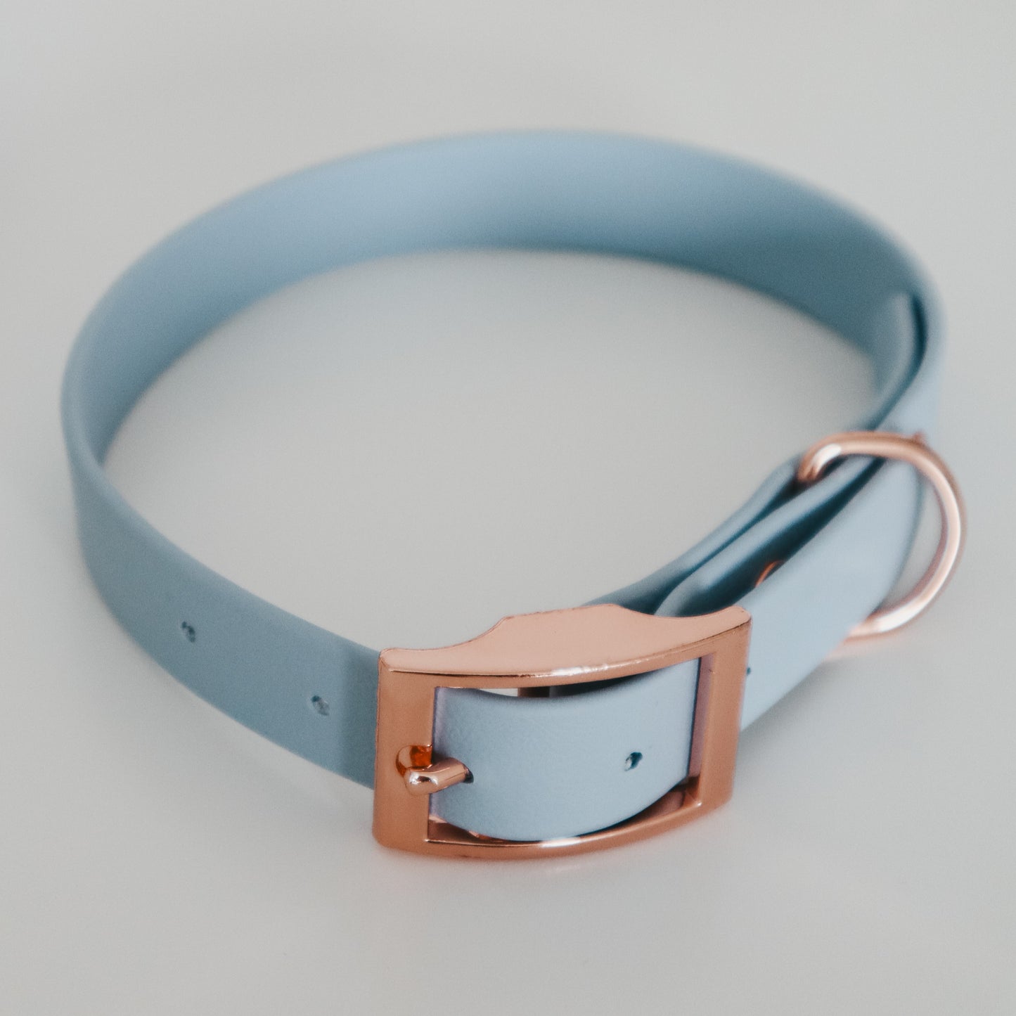 Handmade Waterproof Blue Pet Accessories set - Collar and leash. Personalizable with pet's name