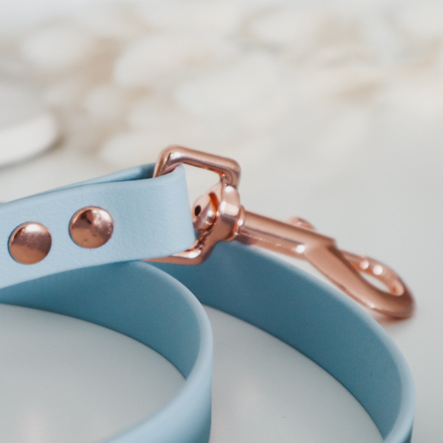 Handmade Waterproof Blue Pet leash. Personalizable with pet's name