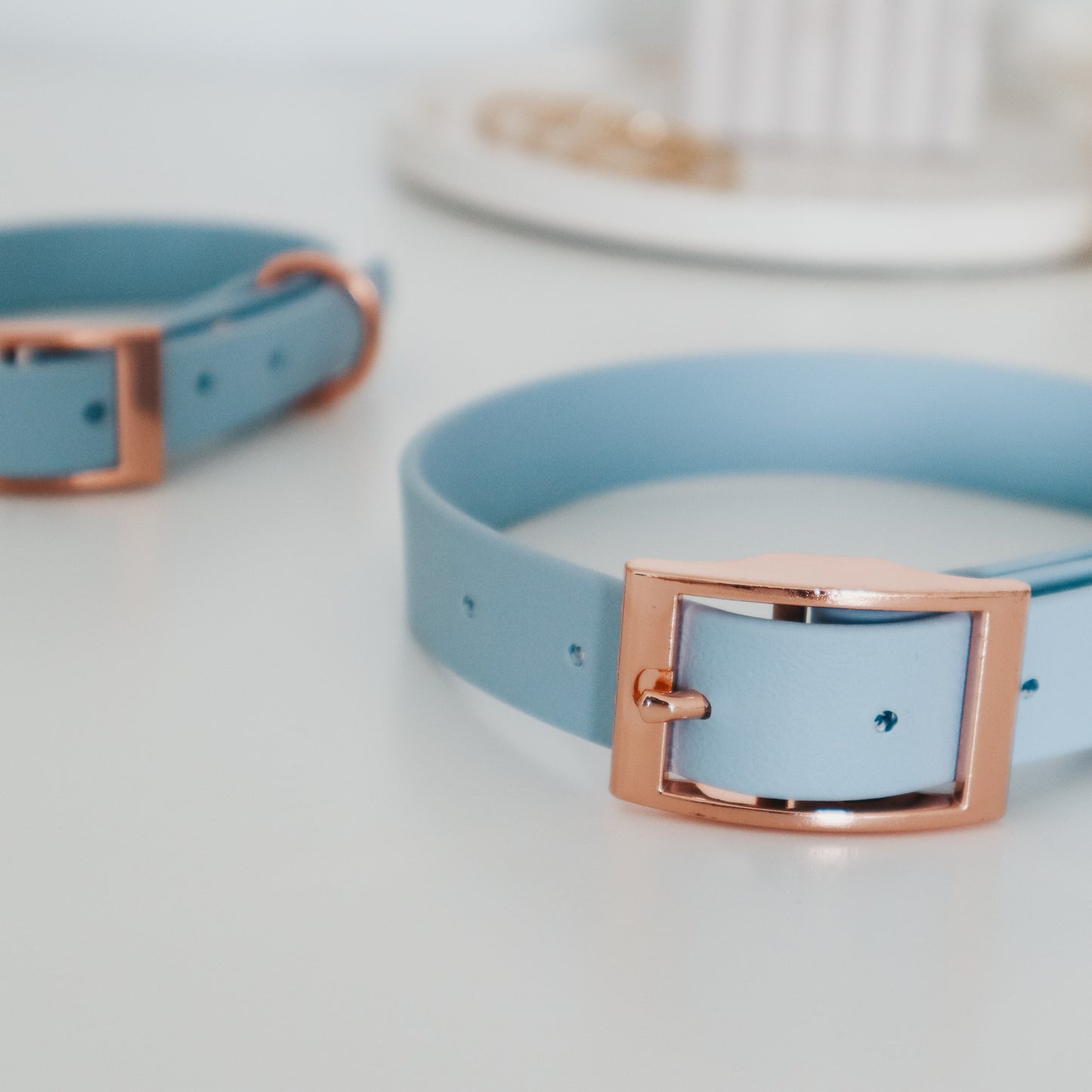 Waterproof Collar ─ Bluebell