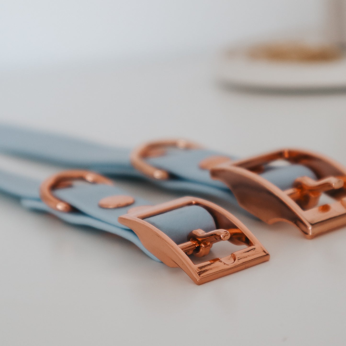 Waterproof Collar ─ Bluebell