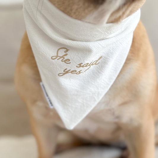 Custom Cherished Moments  ─ Scrunchie Bandana