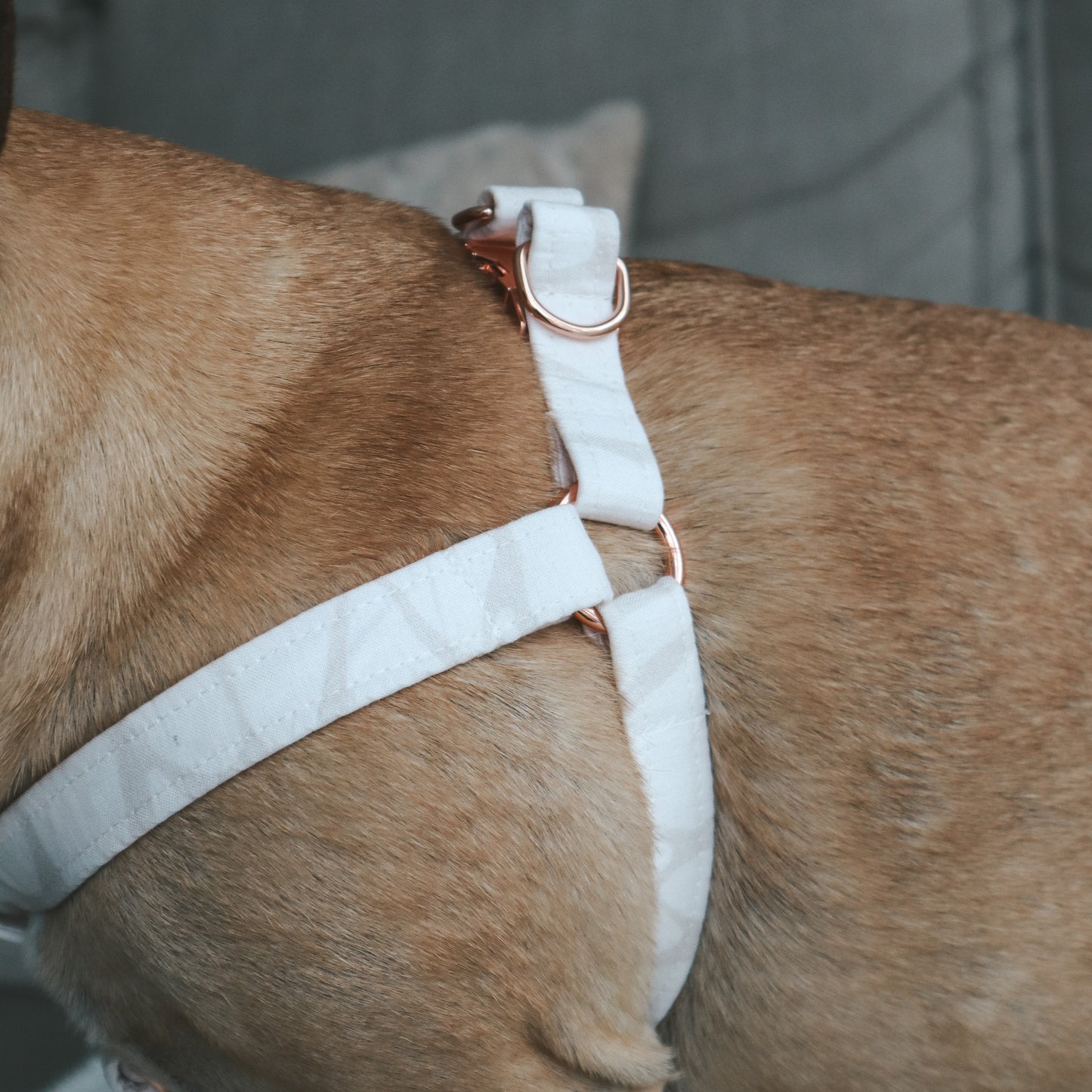 Step-In Harness ─ Geopaw Beige