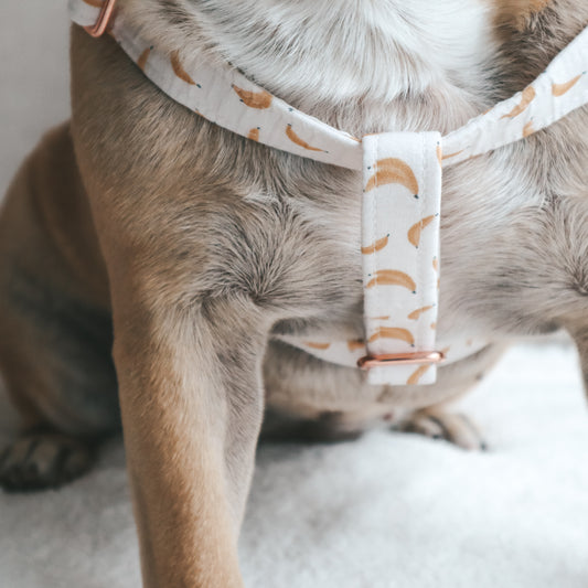 Step-In Harness ─ Bark-nana Beige