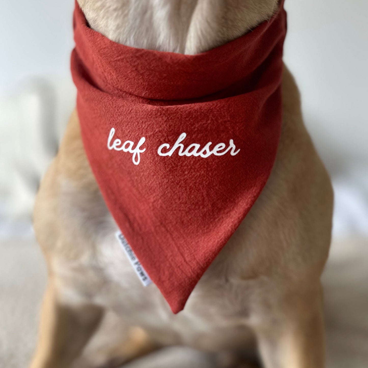 Custom Bandana ─ Burnt Orange