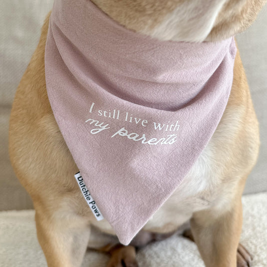 Custom Silly Saying  ─ Scrunchie Bandana