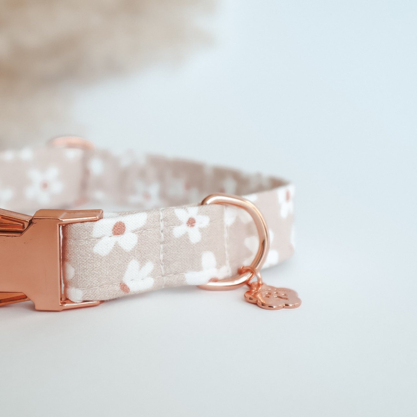 Regular Collar ─ Floral Eden