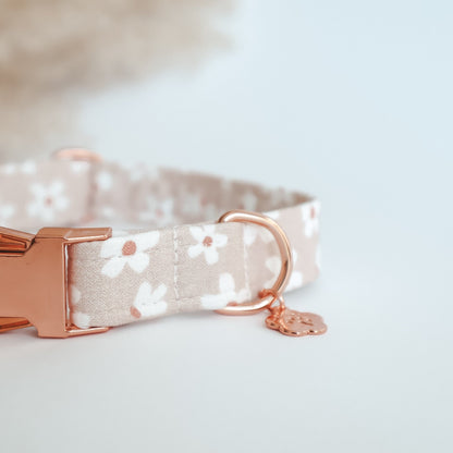 Regular Collar ─ Floral Eden