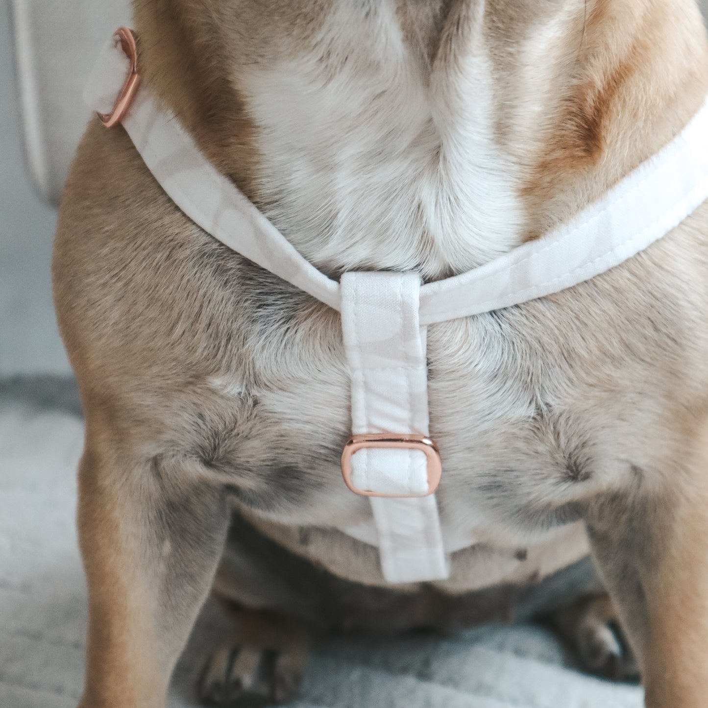 Step-In Harness ─ Geopaw Beige