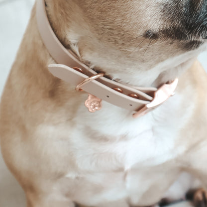 Waterproof Collar ─ Nude