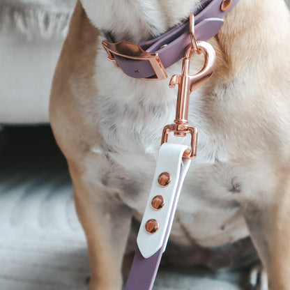 Waterproof Leash ─ Plum Smoothie