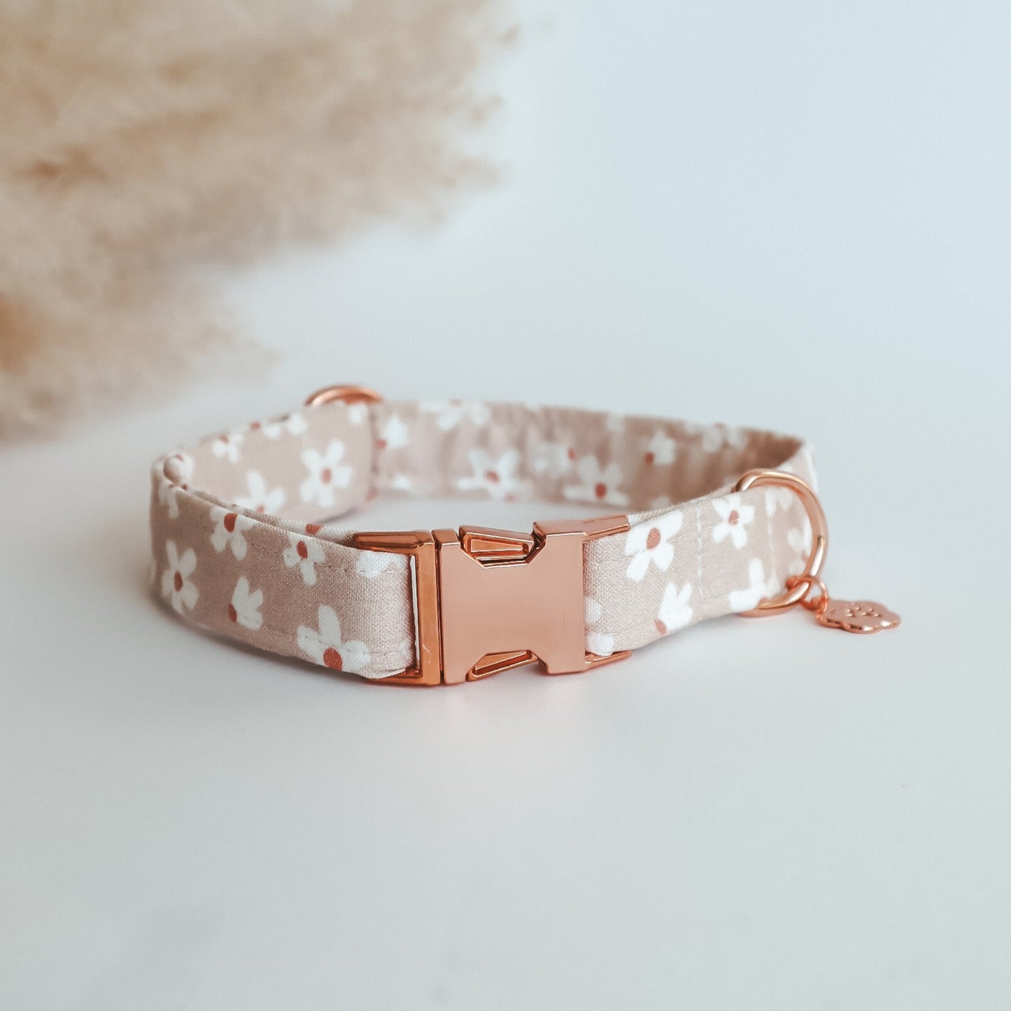 Regular Collar ─ Floral Eden