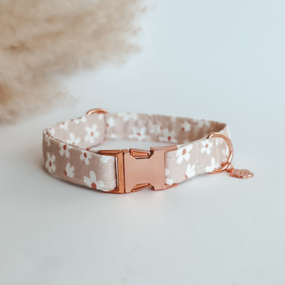 Regular Collar ─ Floral Eden