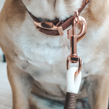 Paracord Leash ─ Earthy Elegance