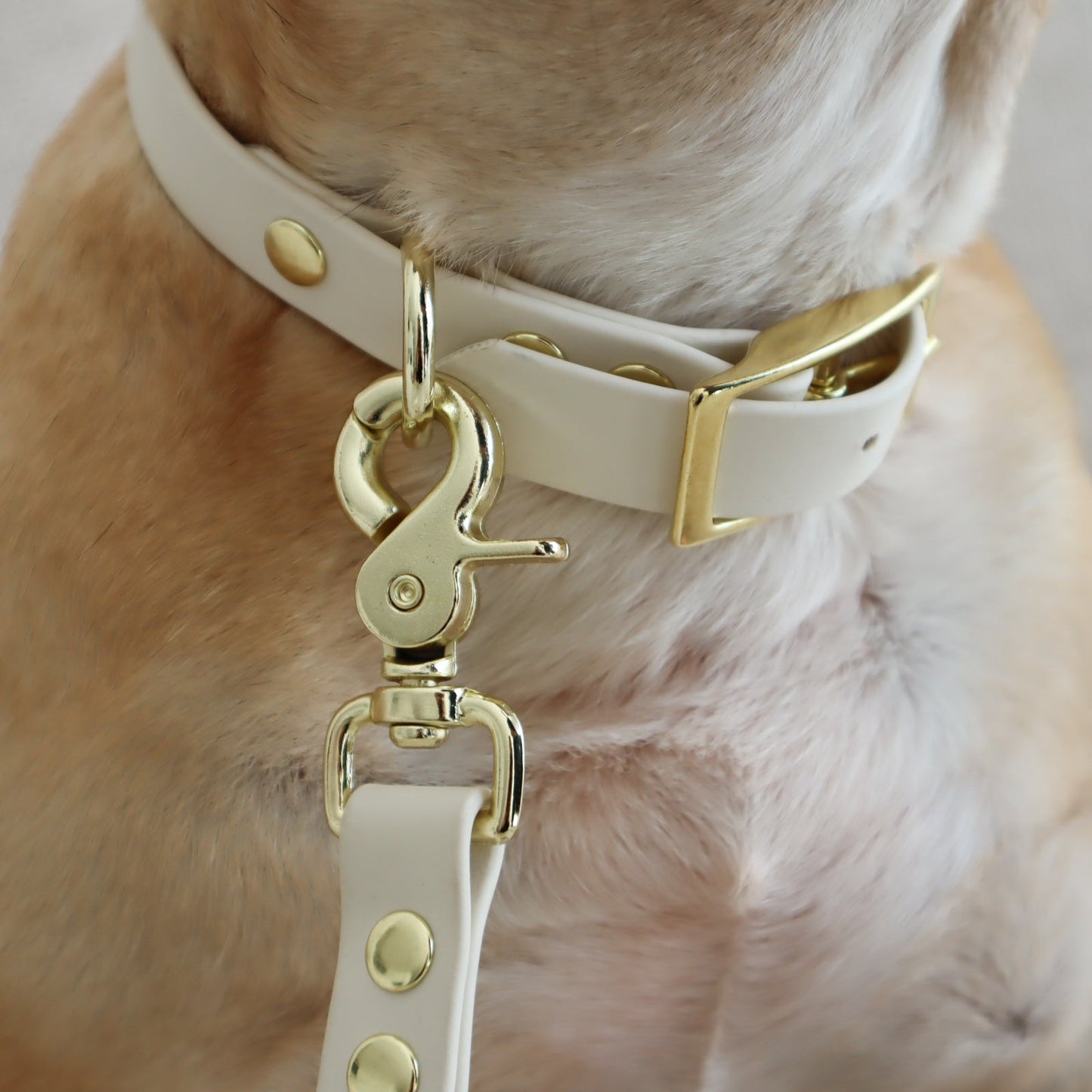 Waterproof Leash ─ Crème