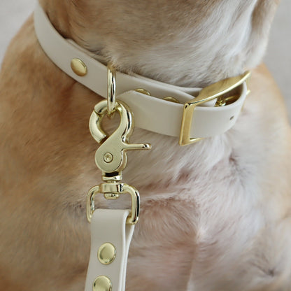 Waterproof Leash ─ Crème