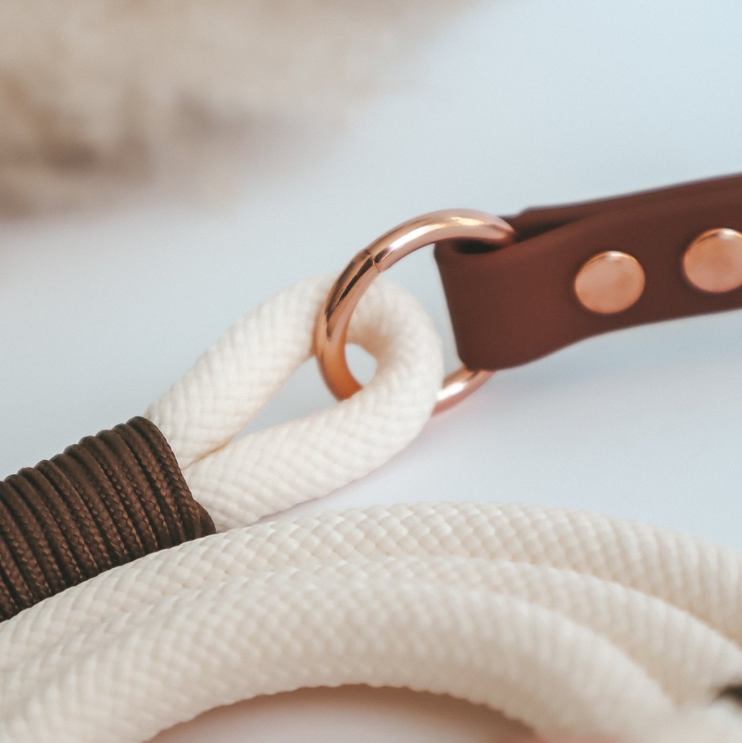 Paracord Leash ─ Earthy Elegance