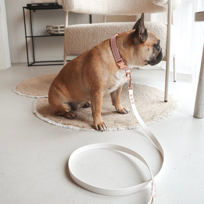 French Buldog wearing a Handmade Waterproof White Pet leash. Personalizable with pet's name 