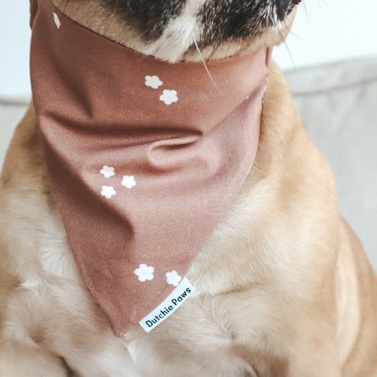 Choco Daisy ─ Scrunchie Bandana