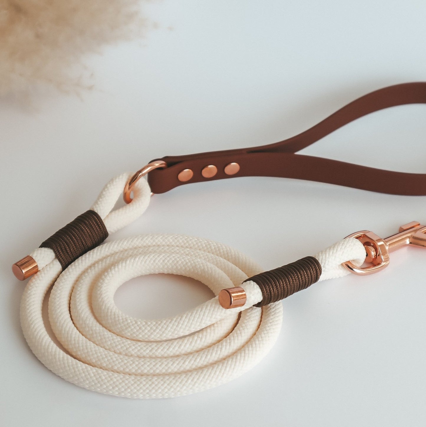 Paracord Leash ─ Earthy Elegance