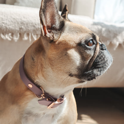Waterproof Collar ─ Plum