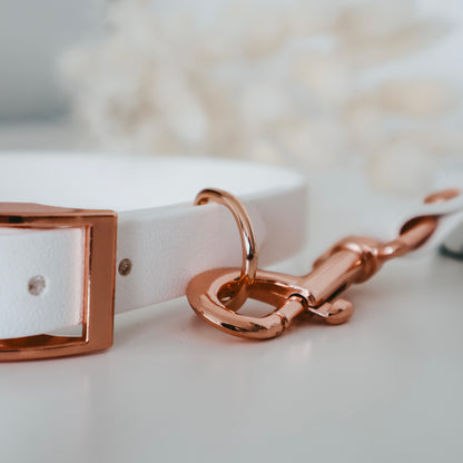 Handmade Waterproof White Pet Accessories set -  Collar and leash. Personalizable with pet's name 