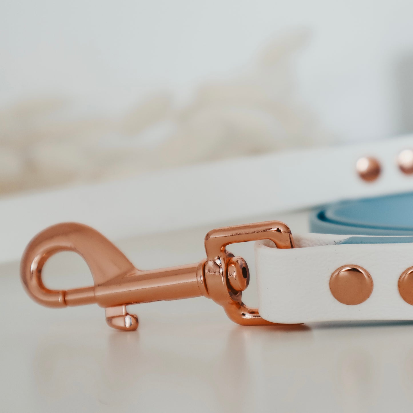 Handmade Waterproof Blue&White Pet leash. Personalizable with pet's name 
